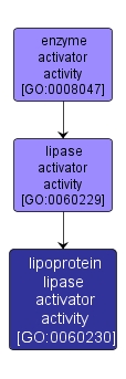 GO:0060230 - lipoprotein lipase activator activity (interactive image map)