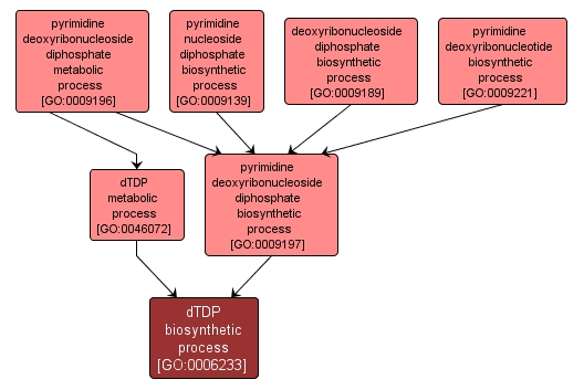 GO:0006233 - dTDP biosynthetic process (interactive image map)