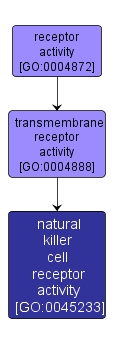 GO:0045233 - natural killer cell receptor activity (interactive image map)