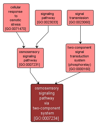 GO:0007234 - osmosensory signaling pathway via two-component system (interactive image map)