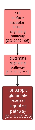 GO:0035235 - ionotropic glutamate receptor signaling pathway (interactive image map)