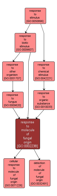 GO:0002238 - response to molecule of fungal origin (interactive image map)