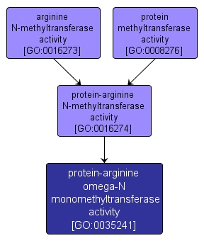 GO:0035241 - protein-arginine omega-N monomethyltransferase activity (interactive image map)