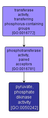 GO:0050242 - pyruvate, phosphate dikinase activity (interactive image map)
