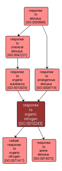 GO:0010243 - response to organic nitrogen (interactive image map)