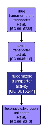 GO:0015244 - fluconazole transporter activity (interactive image map)