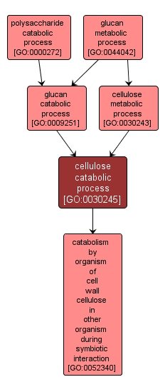 GO:0030245 - cellulose catabolic process (interactive image map)
