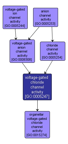 GO:0005247 - voltage-gated chloride channel activity (interactive image map)