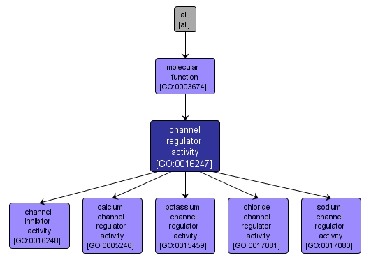 GO:0016247 - channel regulator activity (interactive image map)