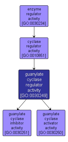 GO:0030249 - guanylate cyclase regulator activity (interactive image map)