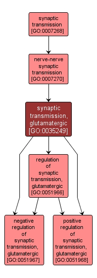 GO:0035249 - synaptic transmission, glutamatergic (interactive image map)