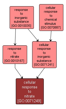 GO:0071249 - cellular response to nitrate (interactive image map)