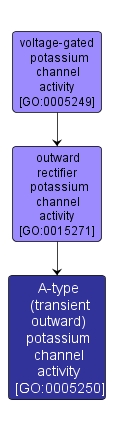 GO:0005250 - A-type (transient outward) potassium channel activity (interactive image map)