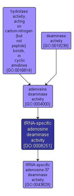 GO:0008251 - tRNA-specific adenosine deaminase activity (interactive image map)