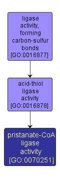 GO:0070251 - pristanate-CoA ligase activity (interactive image map)