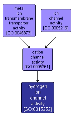 GO:0015252 - hydrogen ion channel activity (interactive image map)
