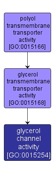 GO:0015254 - glycerol channel activity (interactive image map)