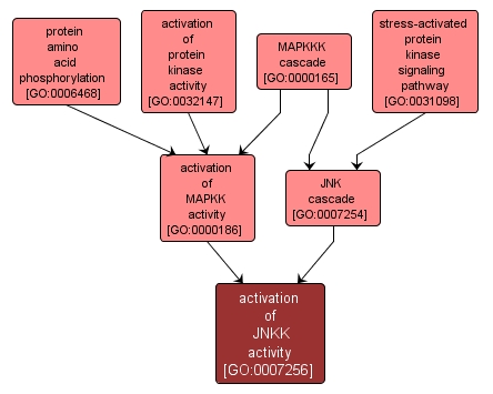GO:0007256 - activation of JNKK activity (interactive image map)