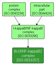 GO:0033257 - Bcl3/NF-kappaB2 complex (interactive image map)