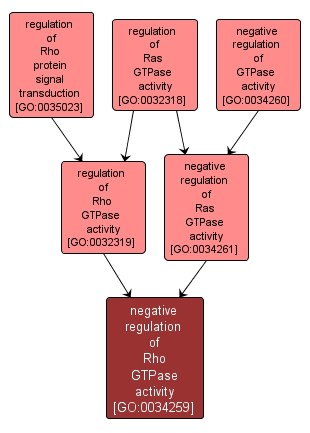 GO:0034259 - negative regulation of Rho GTPase activity (interactive image map)