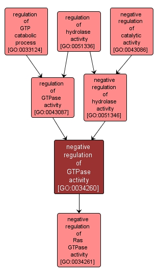 GO:0034260 - negative regulation of GTPase activity (interactive image map)