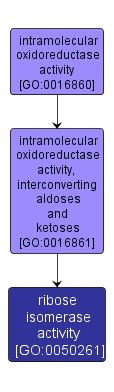 GO:0050261 - ribose isomerase activity (interactive image map)