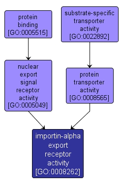GO:0008262 - importin-alpha export receptor activity (interactive image map)
