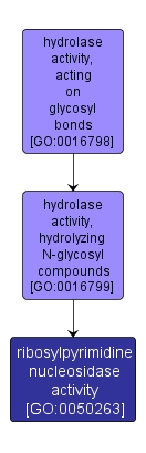 GO:0050263 - ribosylpyrimidine nucleosidase activity (interactive image map)