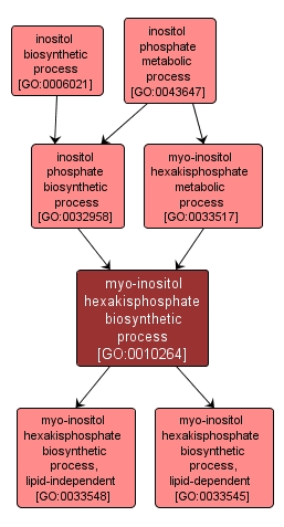 GO:0010264 - myo-inositol hexakisphosphate biosynthetic process (interactive image map)