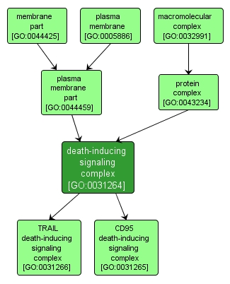 GO:0031264 - death-inducing signaling complex (interactive image map)