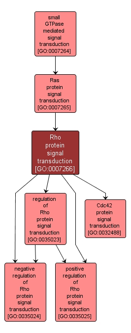 GO:0007266 - Rho protein signal transduction (interactive image map)