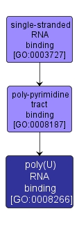 GO:0008266 - poly(U) RNA binding (interactive image map)