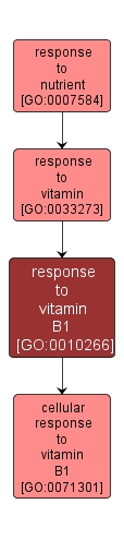GO:0010266 - response to vitamin B1 (interactive image map)