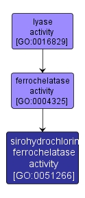 GO:0051266 - sirohydrochlorin ferrochelatase activity (interactive image map)