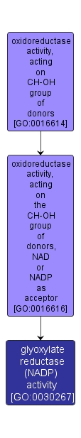 GO:0030267 - glyoxylate reductase (NADP) activity (interactive image map)
