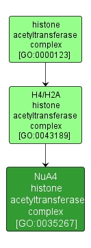 GO:0035267 - NuA4 histone acetyltransferase complex (interactive image map)