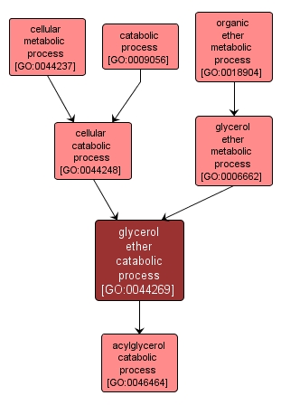GO:0044269 - glycerol ether catabolic process (interactive image map)