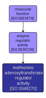 GO:0048270 - methionine adenosyltransferase regulator activity (interactive image map)