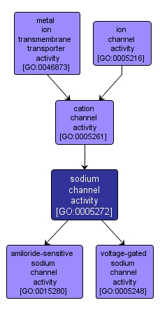 GO:0005272 - sodium channel activity (interactive image map)