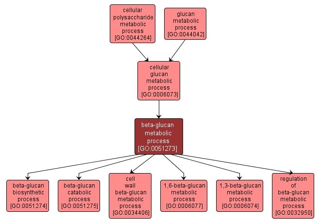 GO:0051273 - beta-glucan metabolic process (interactive image map)