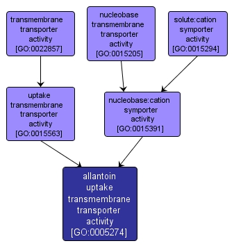 GO:0005274 - allantoin uptake transmembrane transporter activity (interactive image map)
