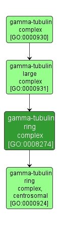 GO:0008274 - gamma-tubulin ring complex (interactive image map)
