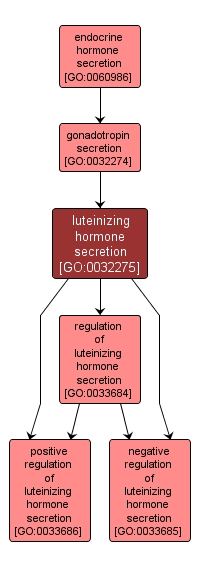 GO:0032275 - luteinizing hormone secretion (interactive image map)