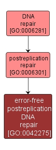 GO:0042275 - error-free postreplication DNA repair (interactive image map)