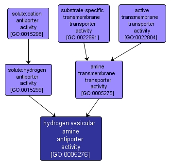 GO:0005276 - hydrogen:vesicular amine antiporter activity (interactive image map)