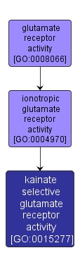 GO:0015277 - kainate selective glutamate receptor activity (interactive image map)