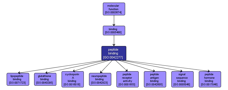 GO:0042277 - peptide binding (interactive image map)