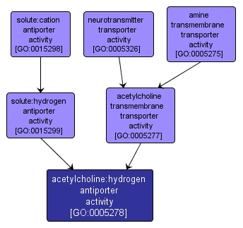 GO:0005278 - acetylcholine:hydrogen antiporter activity (interactive image map)