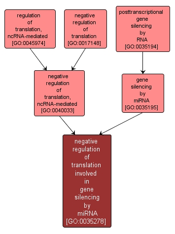 GO:0035278 - negative regulation of translation involved in gene silencing by miRNA (interactive image map)