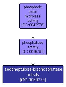 GO:0050278 - sedoheptulose-bisphosphatase activity (interactive image map)